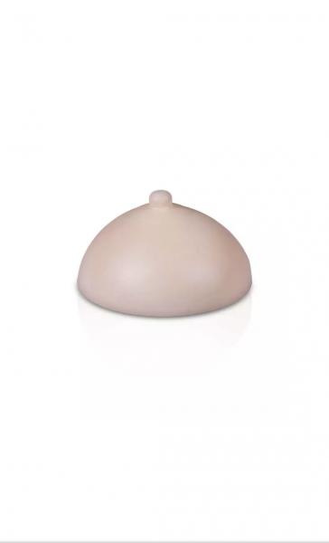 Phi Areola 3D Practice Skin 2pcs